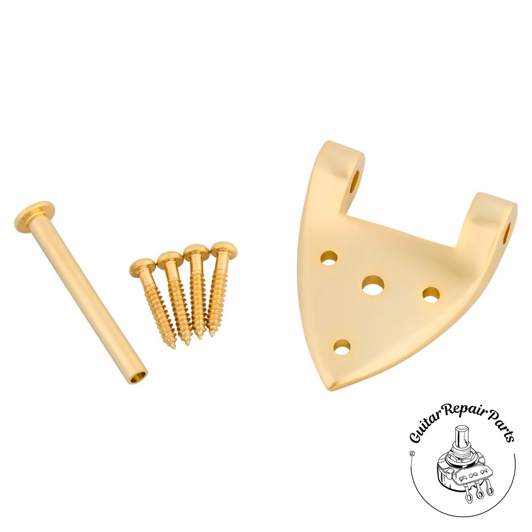 Bigsby B3C / B6C Gretsch Hinge, 0061719006 - Gold