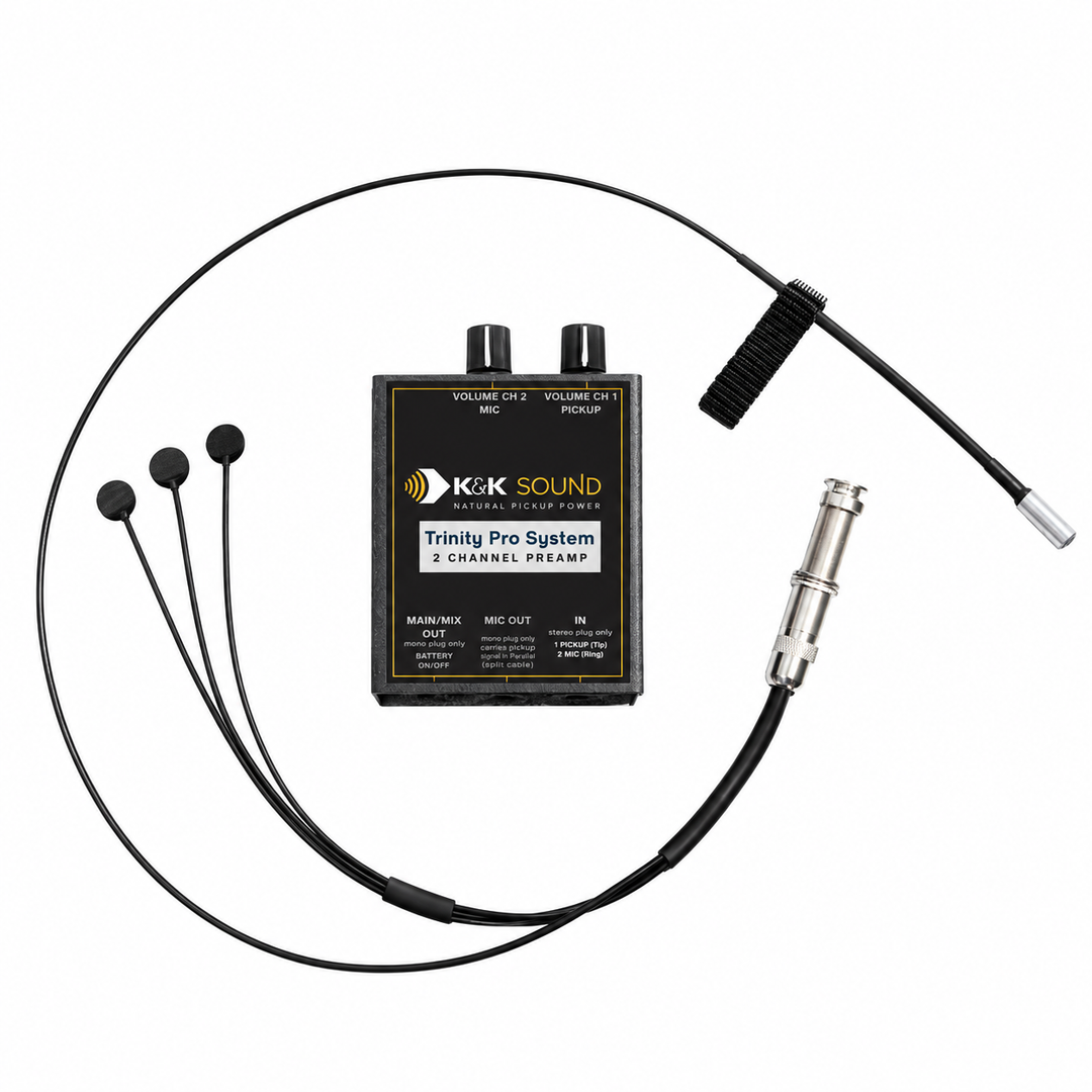 Acoustic Guitar Pickups