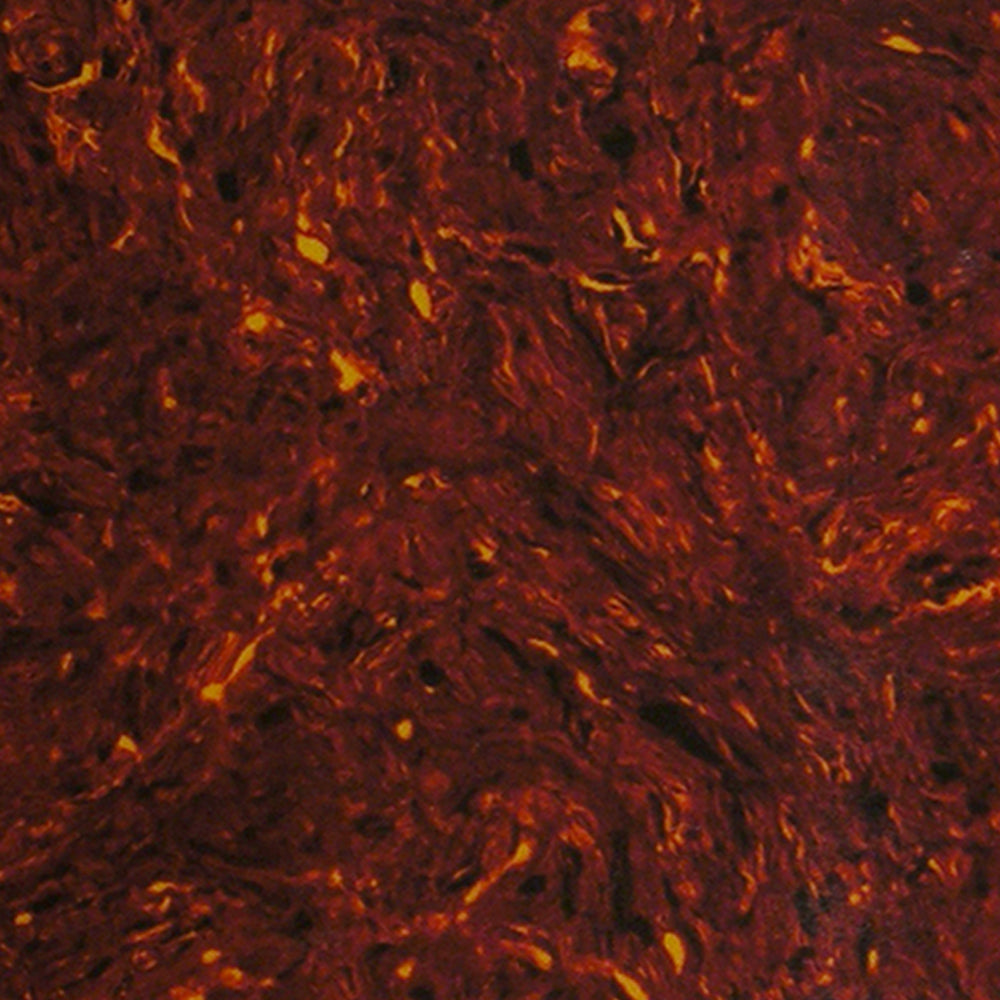 Acoustic Pickguard Material Blank w. Adhesive Backing - Tortoise Shell