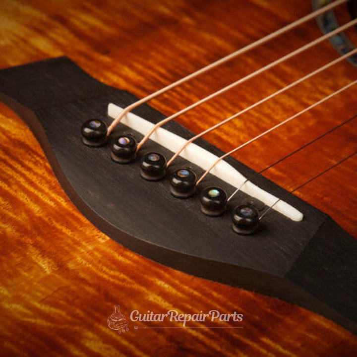 Taylor 7251 Acoustic Guitar Bridge Pins (6 pcs) - Ebony w. Abalone Dot