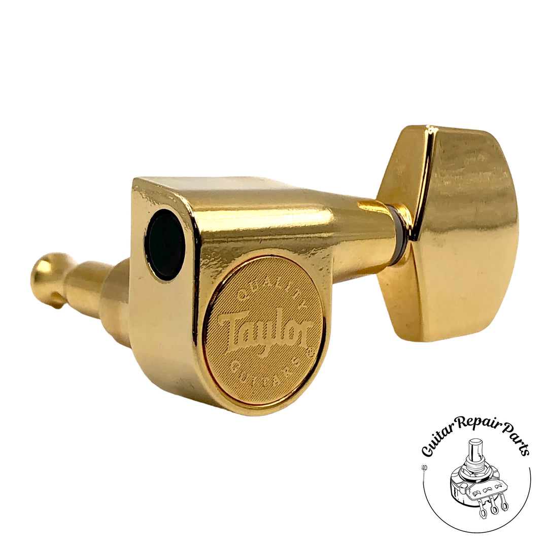 Taylor 181PG Guitar Tuners, 18:1 Ratio - Polished Gold
